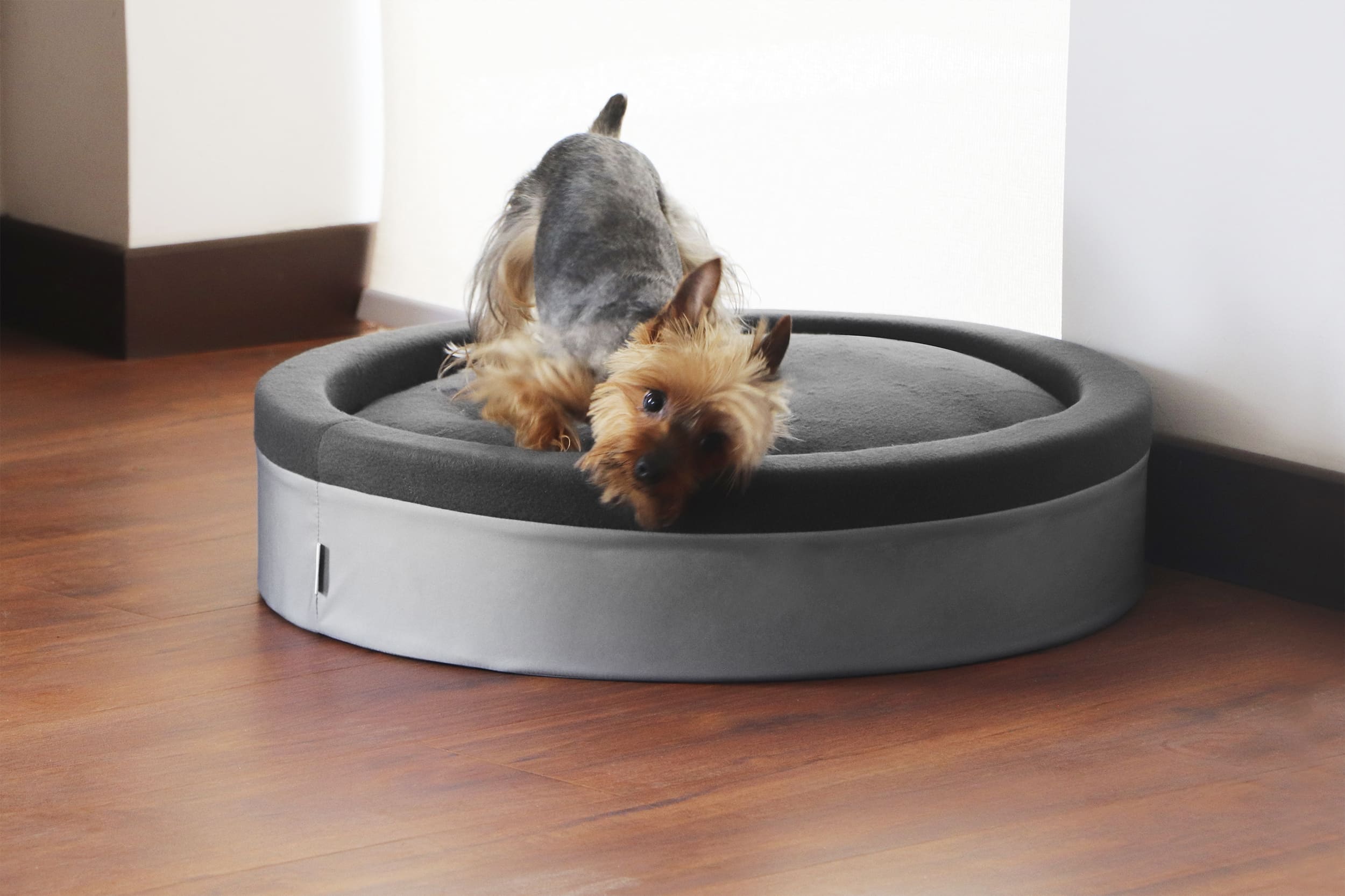 Miglo XL round bed for large pets
