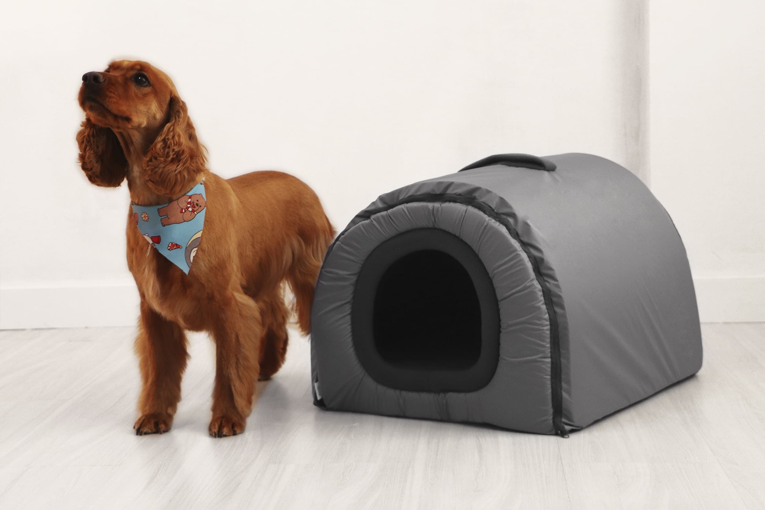 Miglo pet igloo