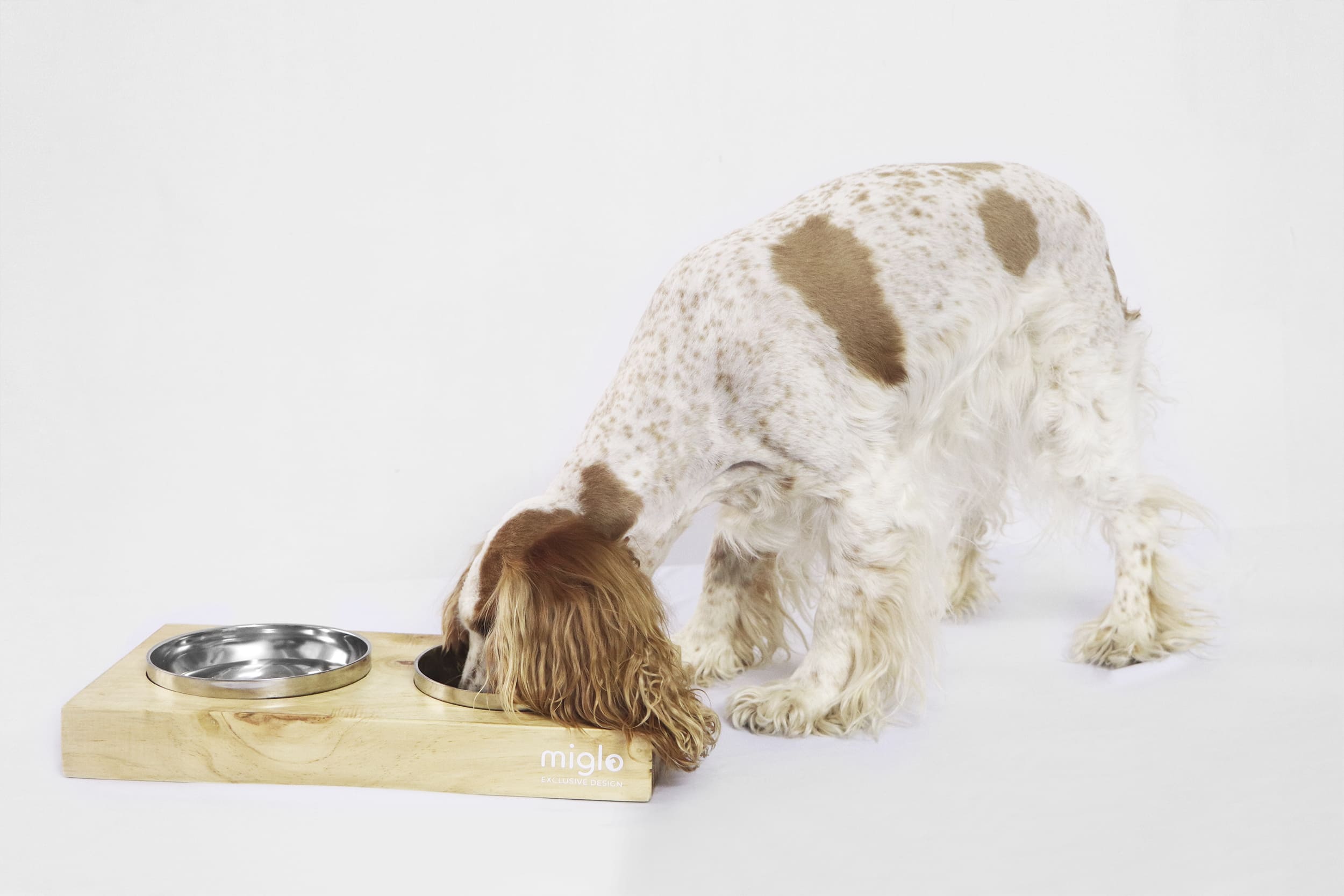 Miglo wooden feeder for pets