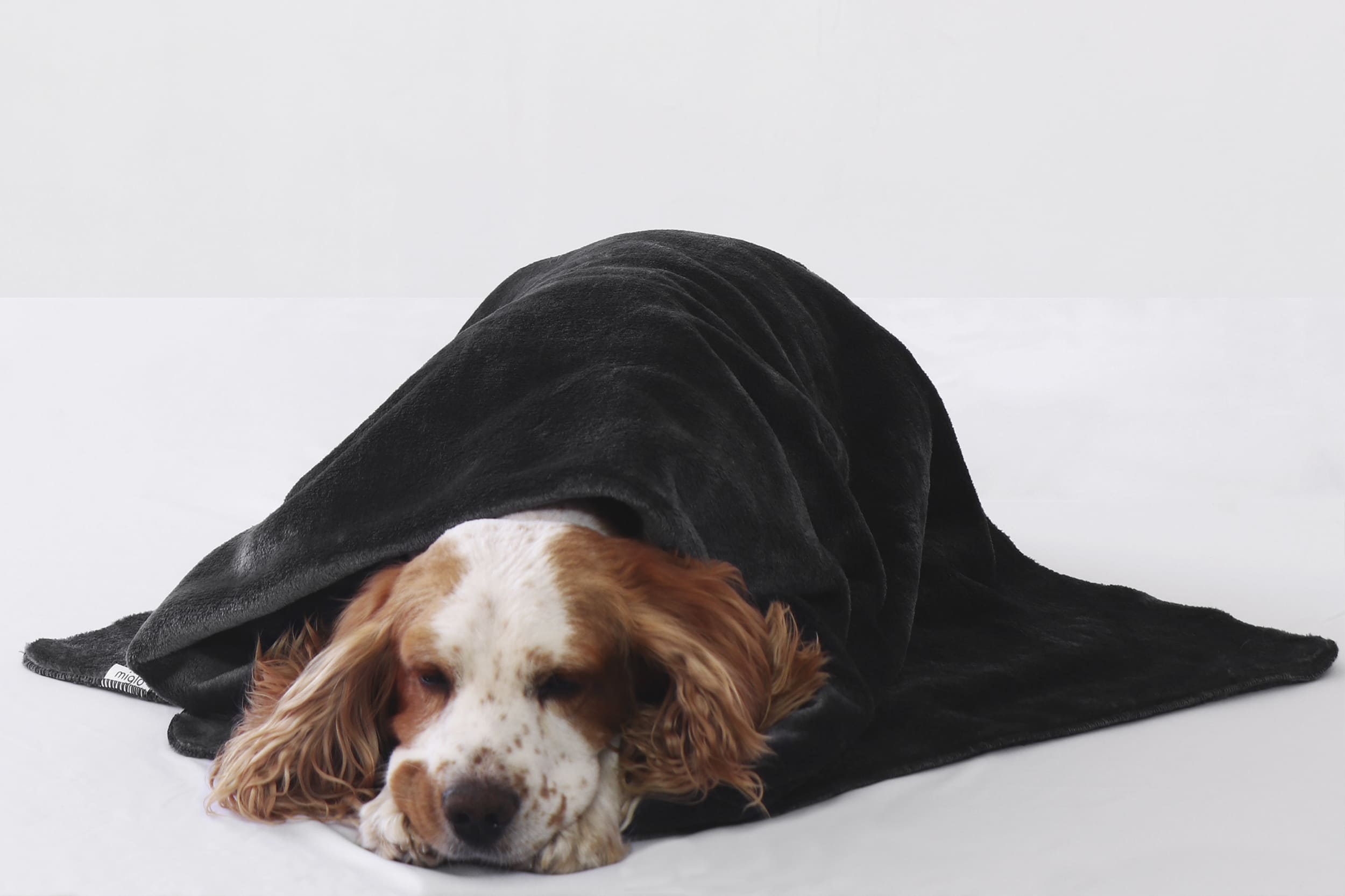 Miglo faux-fur blanket for pets