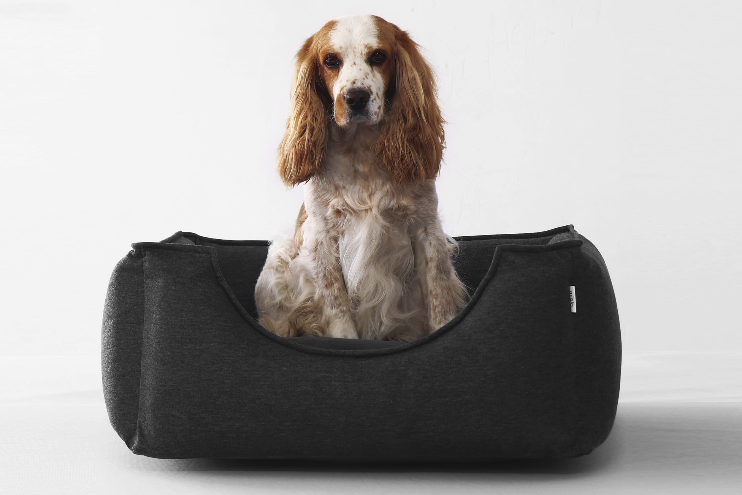 Miglo Box for pets